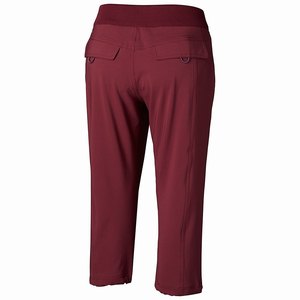 Columbia Pantalones Cortos Bryce Canyon™ Mujer Rojos (609WAECKB)